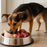 Raw Cut Dog Food