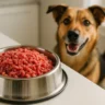 Raw Mince Dog Food